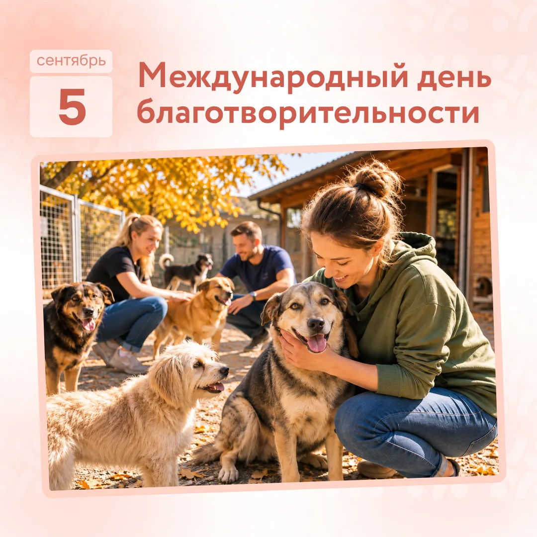 День добра