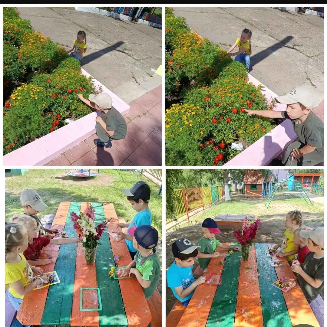 💐 Аппликация из живых цветов! 💐🌸🌿🌱🌞🌞🌞