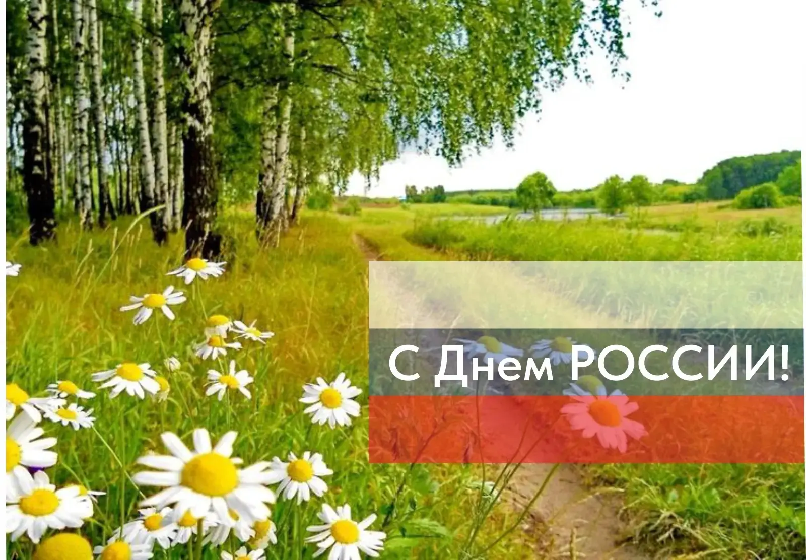 🇷🇺 С Днем России! 
⁣
Россия – как из песни слово.
Берёзок юная листва.
Кругом леса, поля и реки.
Р
