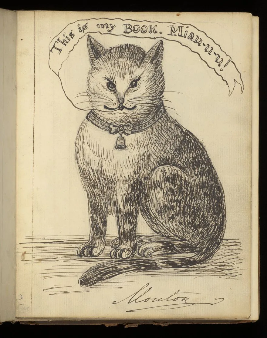 С 1856 по 1859 год Эмили Мэри Мэдден (ей было тогда всего от 8 до 11 лет) вела блокнот, который посв