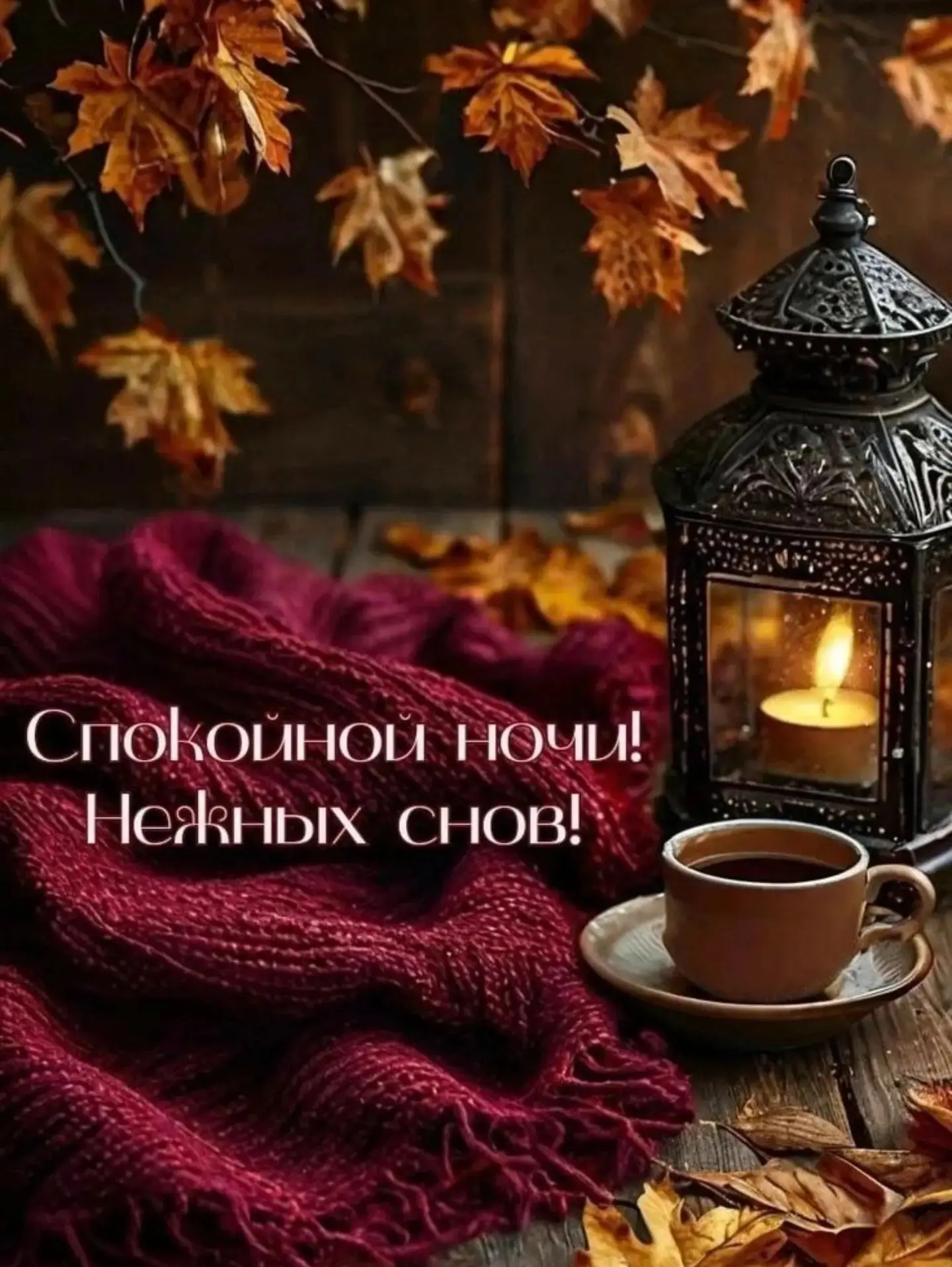 Спокойной ночи!😴