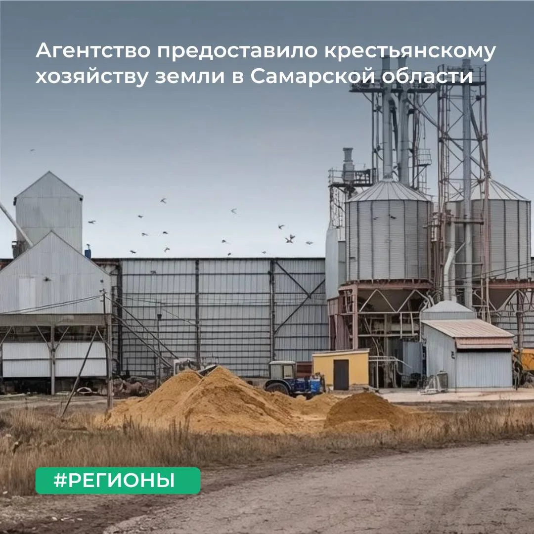 📍 ТУ Росимущества в Самарской области предоставило крестьянскому (фермерскому) хозяйст...