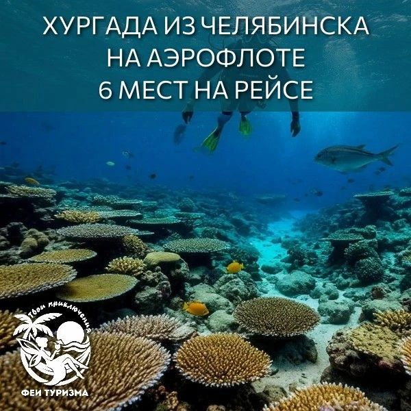 🔥 СРОЧНО! ОСТАЛОСЬ ВСЕГО 6 МЕСТ НА РЕЙСЕ В ЕГИПЕТ ИЗ ЧЕЛЯБИНСКА! 🚨