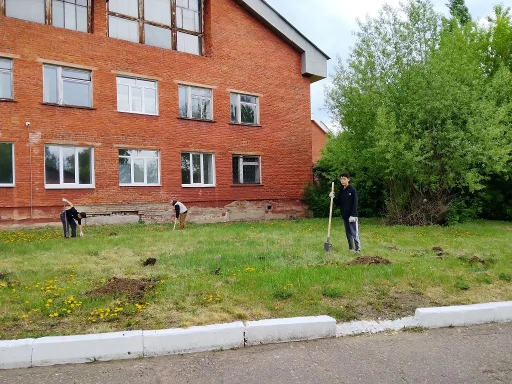 В этом году продолжаем формировать сад на территории. 8 класс  выкопал лунки, в пятницу...