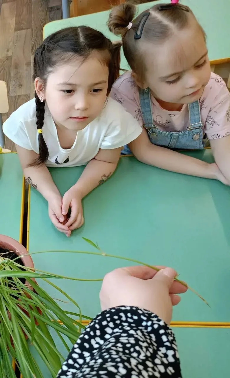 🌱 В ДО «Солнышко» прошёл «Зелёный мастер‑класс для дошколят»!  Ребята из группы «Гномики» подружилис
