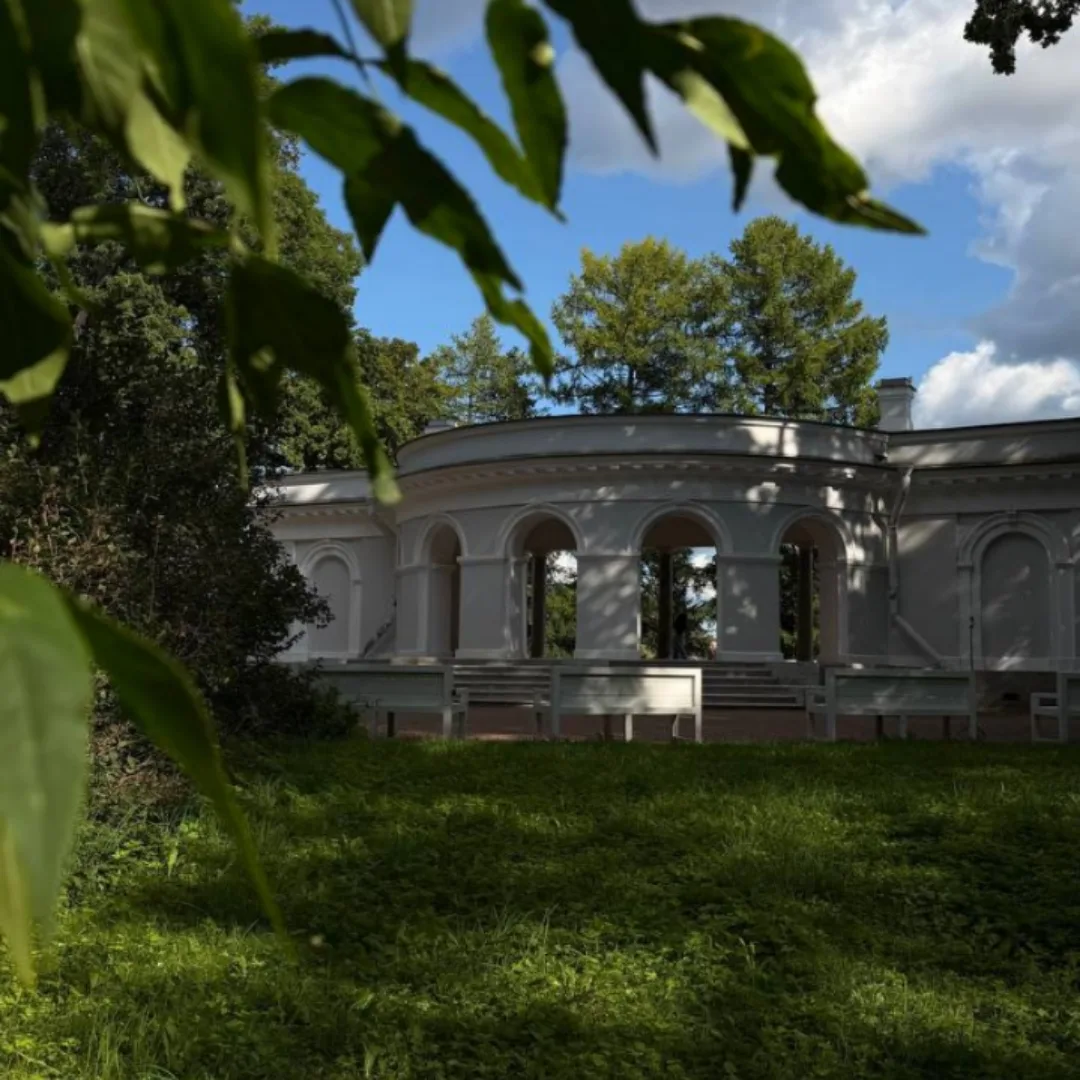 И снова музыка в парке🌿