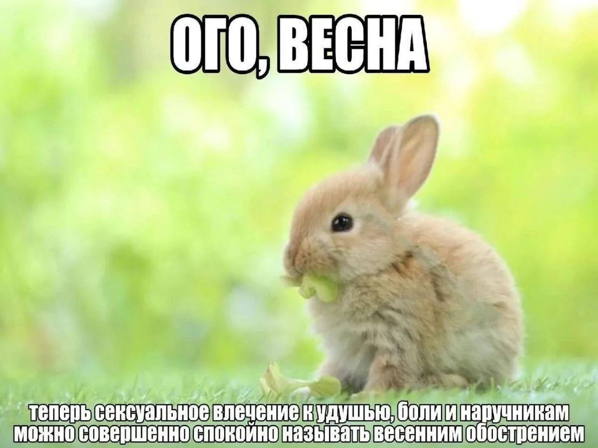 Другие наши каналы ❗