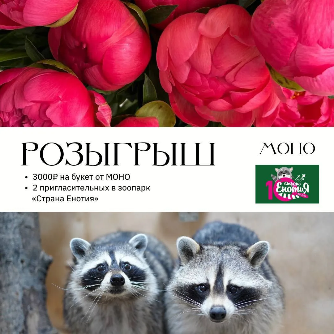 МИЛЫЙ РОЗЫГРЫШ🥰

Дарим:
• Сертификат на прекрасный букет номиналом 3000₽ от МОНО 
• Два билета в зо