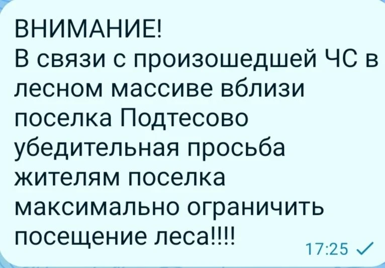 По официально неподтвердным данным в лесном массиве вблизи п. Подтесово медведь загрыз ...