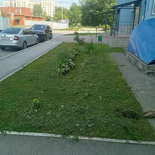 ✅Дайджест за неделю 3 - 9 августа. (Затулинка)