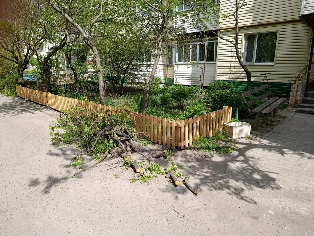 Островского 1 Б спил веток.