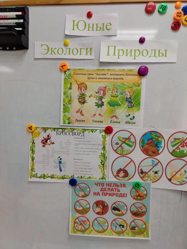 🌿 «Береги природу!» — не просто слова, а правило жизни