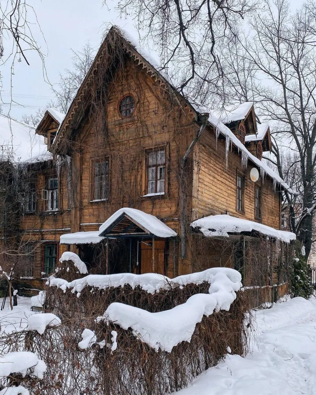 Особняк Шредера-Вильямса — жемчужина Тимирязевской академии ❄️