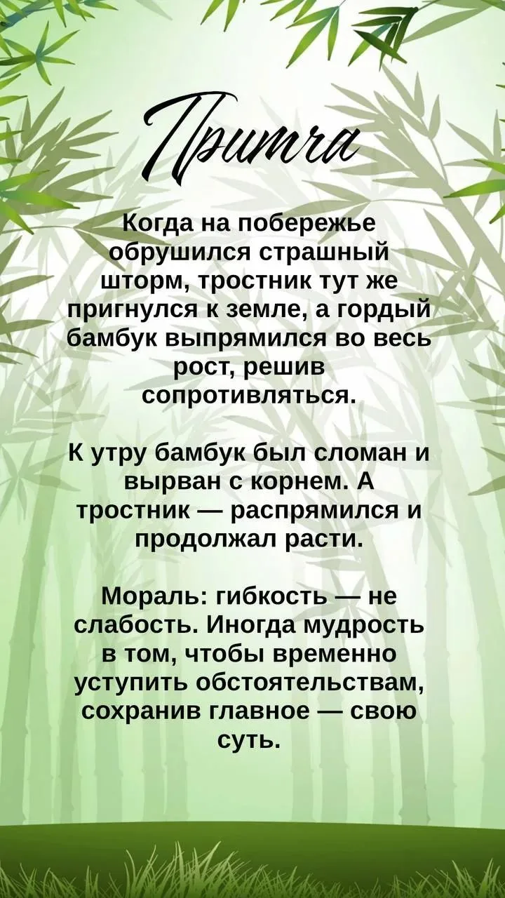 Всем приятного завтрака 🍽️