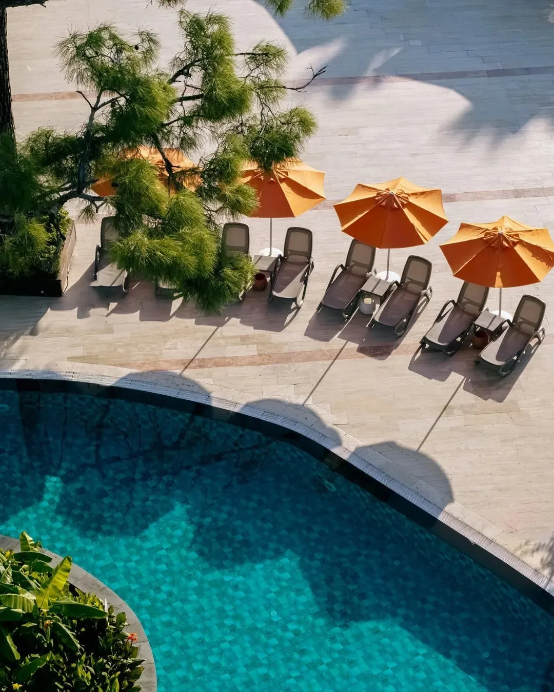 Kilikya Palace Goynuk 5*: море, солнце и максимум удовольствия! ☀️


✅ Первая линия: собственный пля