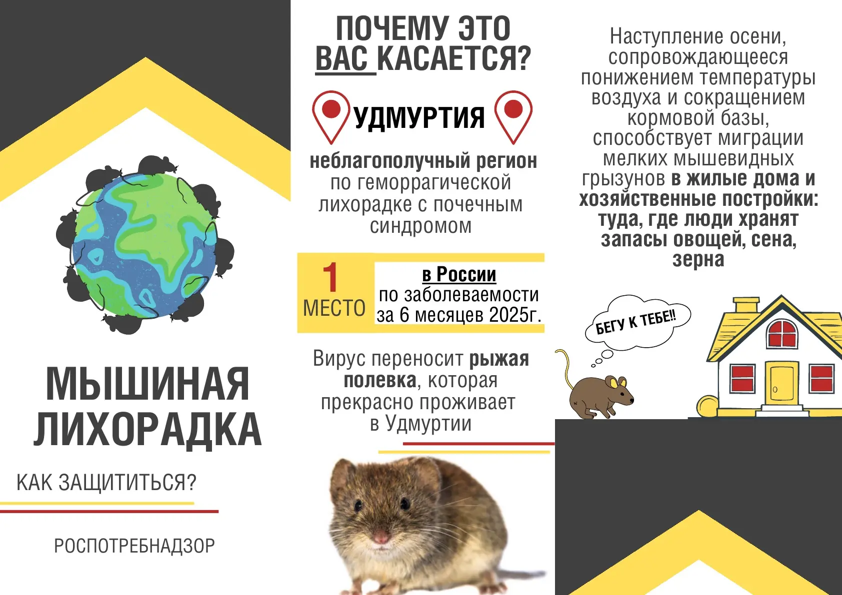 🐭ГЛПС - тяжелое инфекционное заболевание, проявляющееся поражением мелких