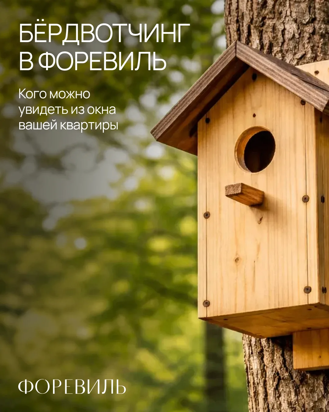 Где посмотреть на необычных птиц в Москве?