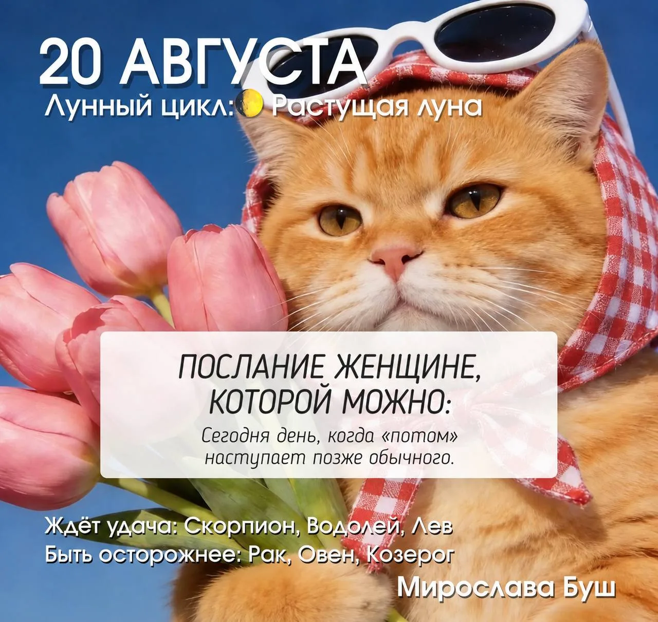 20 августа РЕКОМЕНДАЦИИ🔥