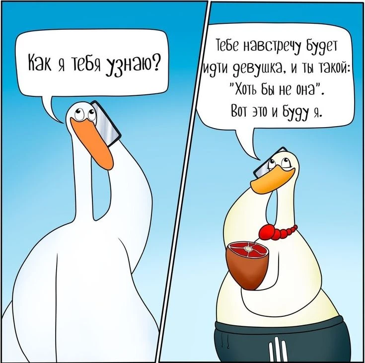 Подпишись, чтобы не потерять👇