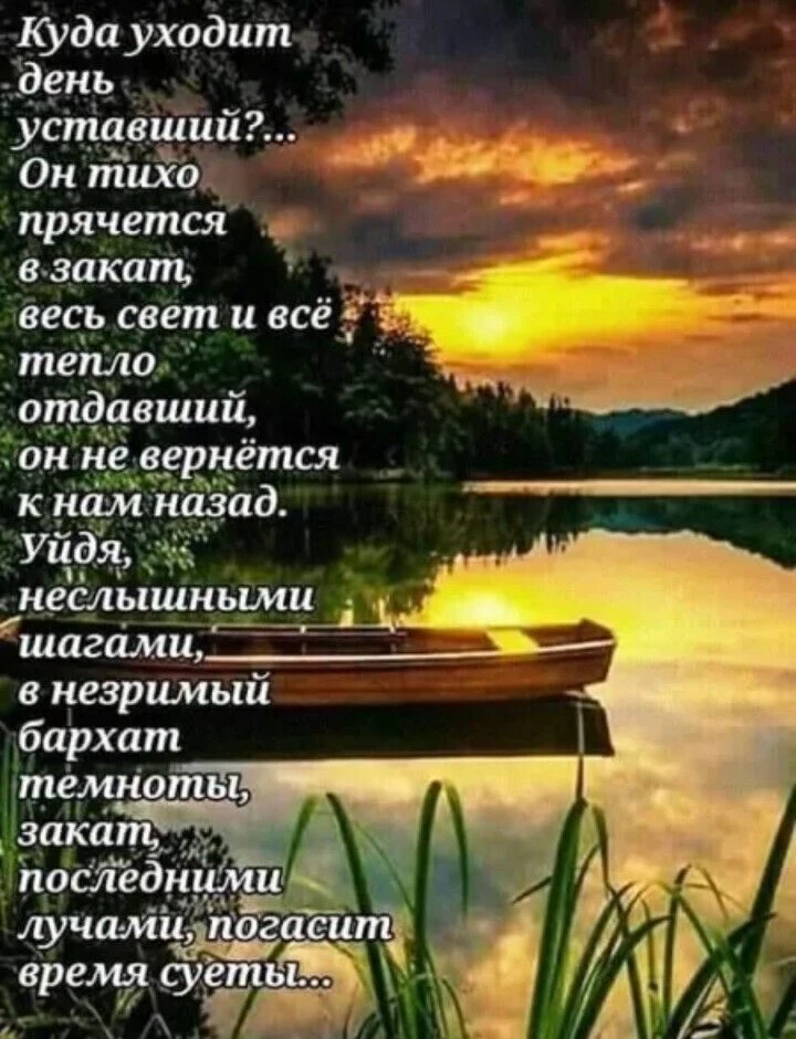 Доброй ночи 🌙, сладких снов 😴✨