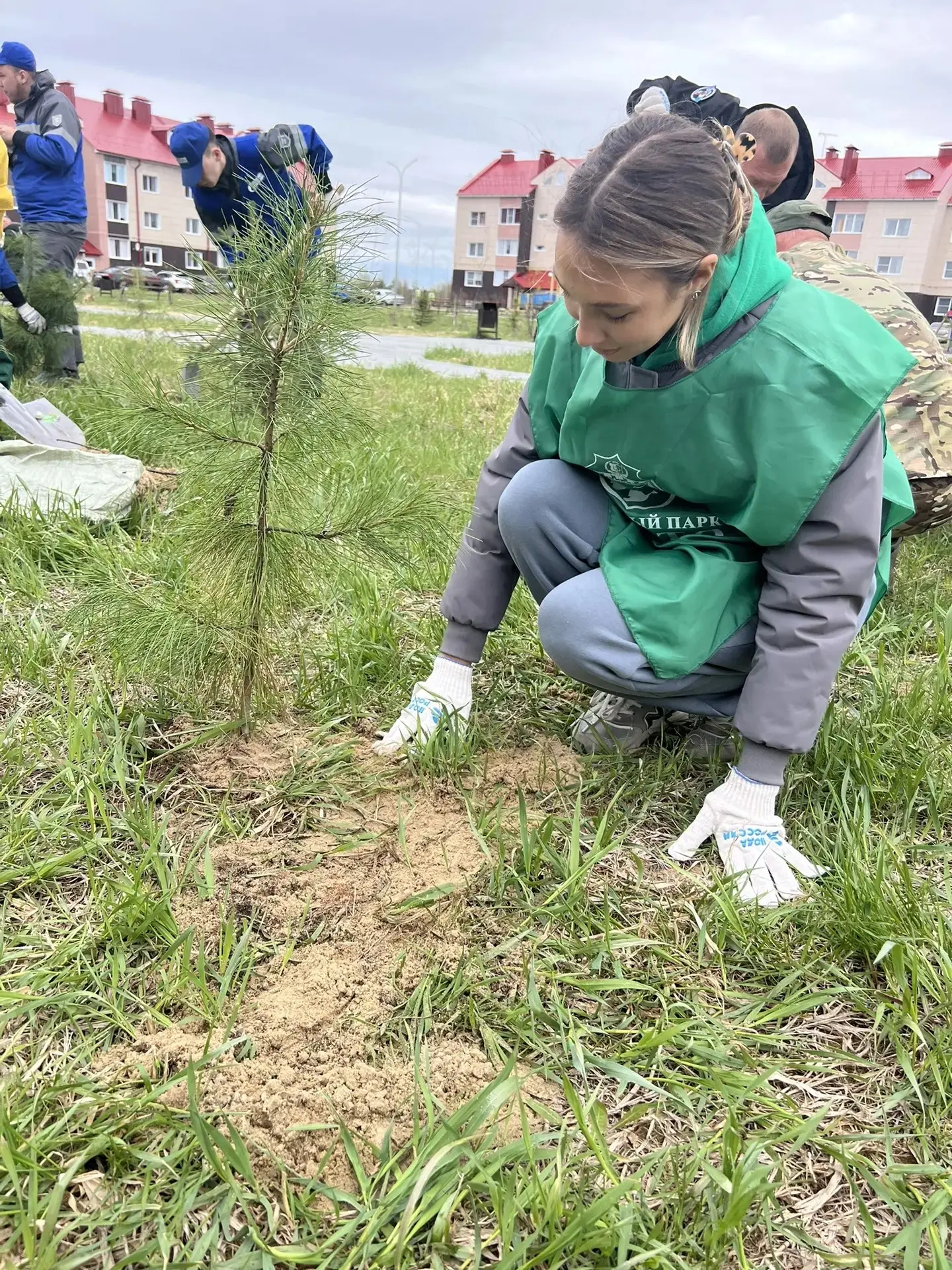 🌳Акция «Сад памяти 2026»! 🌳