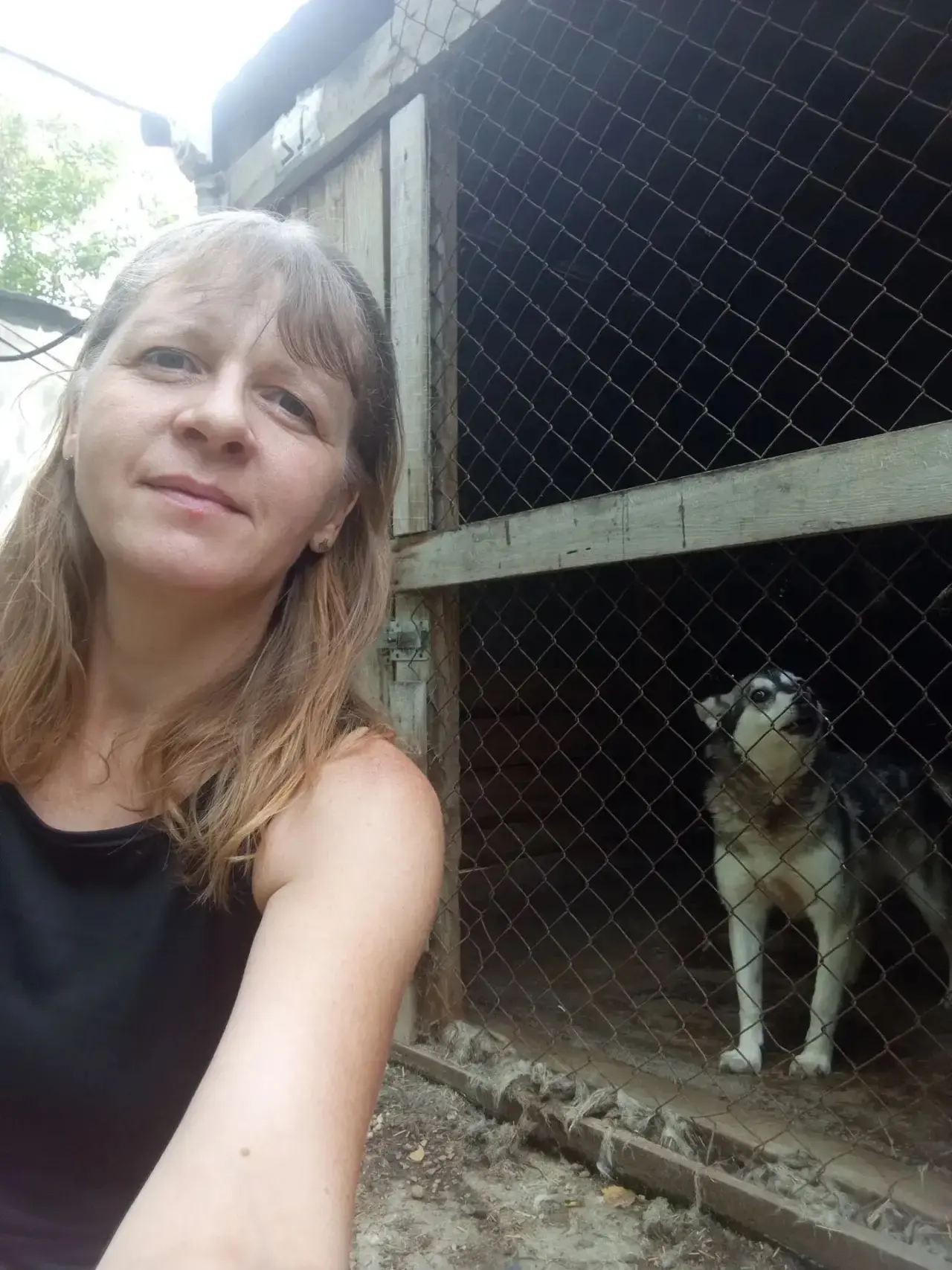 В понедельник в приюте  сбор #дниверности . Собранные  средства идут на содержание животных, оплату 
