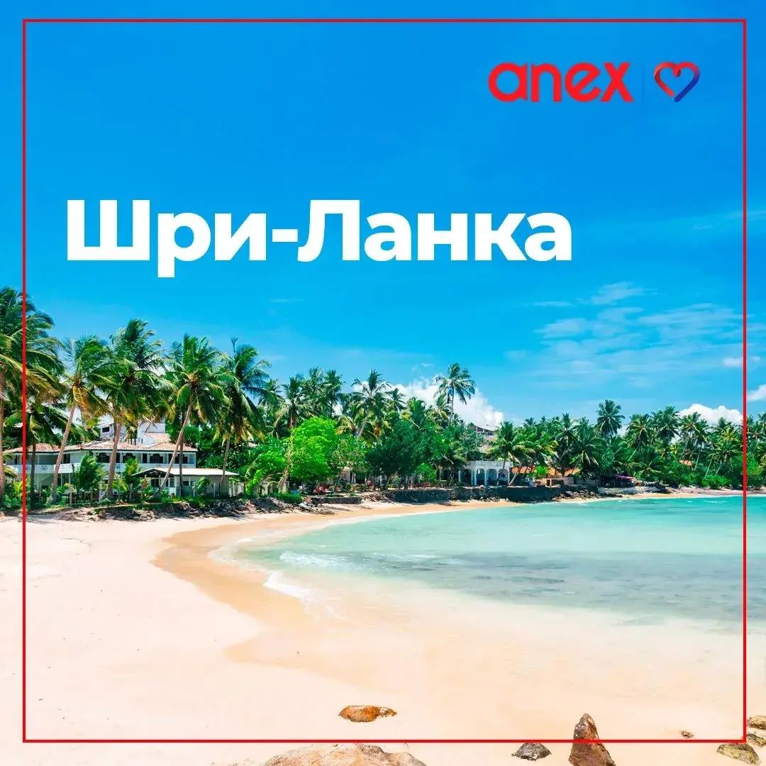 🤩Отличное время для отдыха на Шри Ланке: