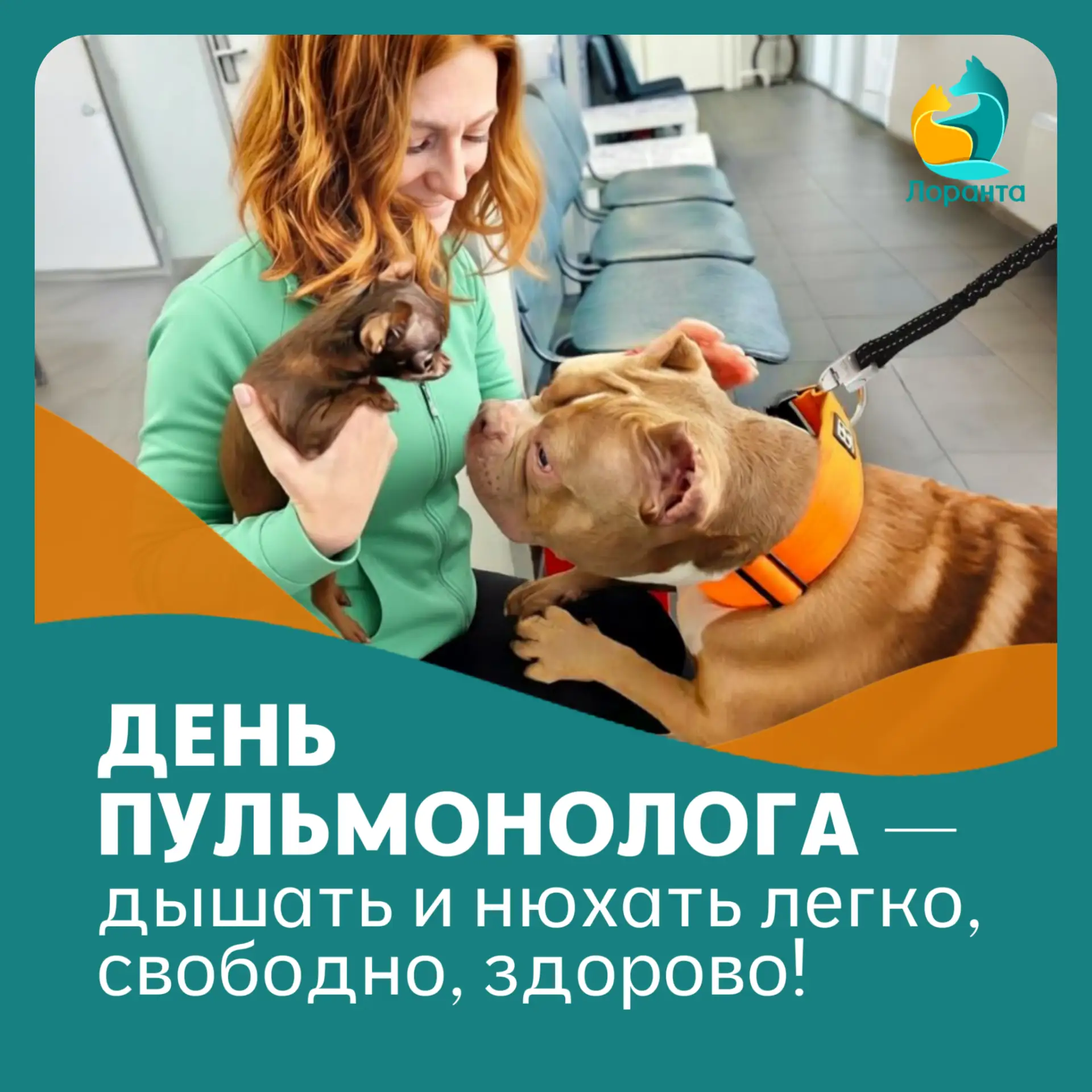 😸 ДЕНЬ ПУЛЬМОНОЛОГА — ДЫШАТЬ И НЮХАТЬ ЛЕГКО, СВОБОДНО, ЗДОРОВО!