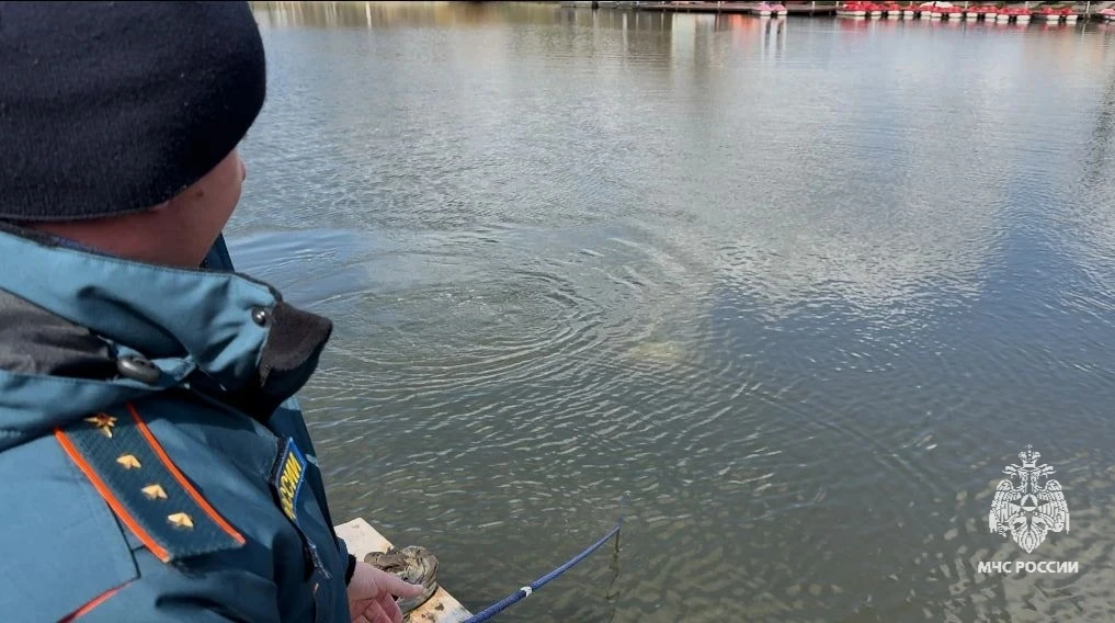 ⚓Водолазы-спасатели обследовали пруд в Центральном парке Тулы  В Тульской области продолжается актив