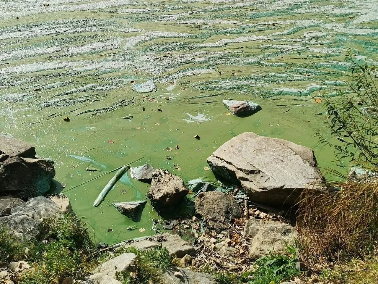 Вода в Верхней Салде вновь пахнет фекалиями. Власти: «Вода безопасна для использования»