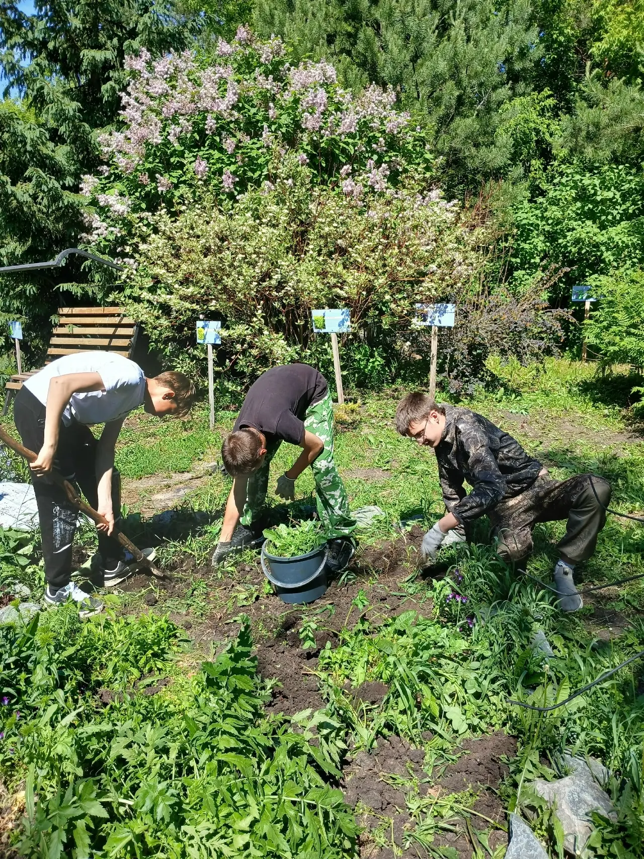 🌱СЗД Отряд «ЭКО ДРУЖИНА» " Малышенской СОШ" : забота о школьном дворе 🌱