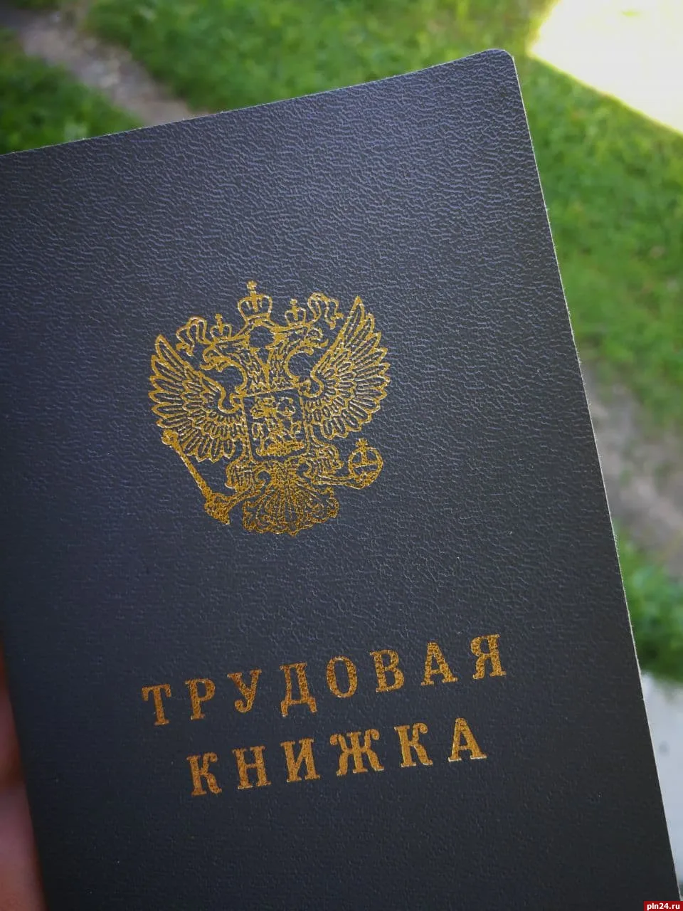 ♿️💼 В Татарстане могут ввести штрафы за отказ трудоустраивать инвалидов

В РТ готовят поправки в Ко