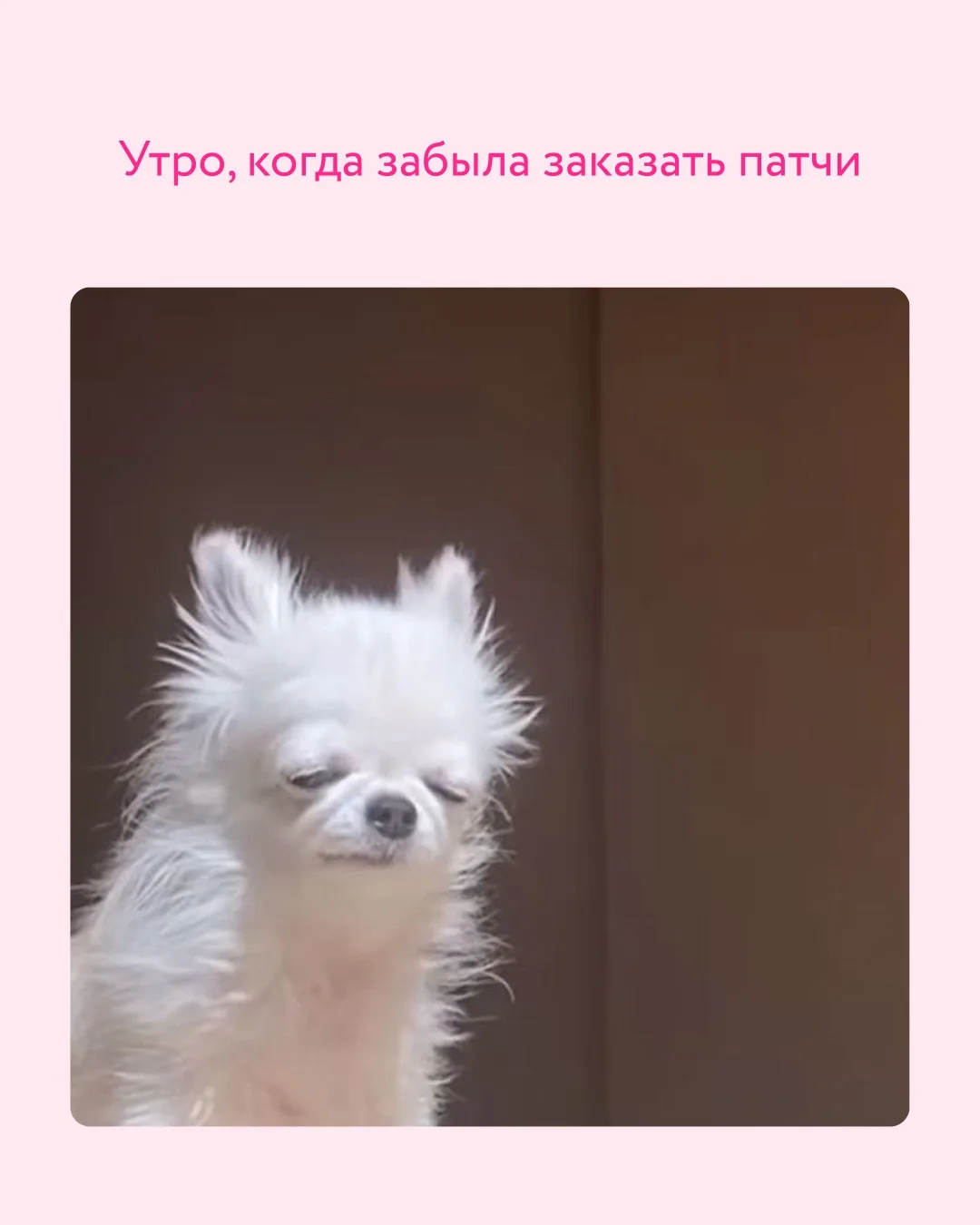 Минутка юмора 🫶  Листаем карточки и решаем: мы или не мы?  P.S. Мемное творчество подписчиков привет