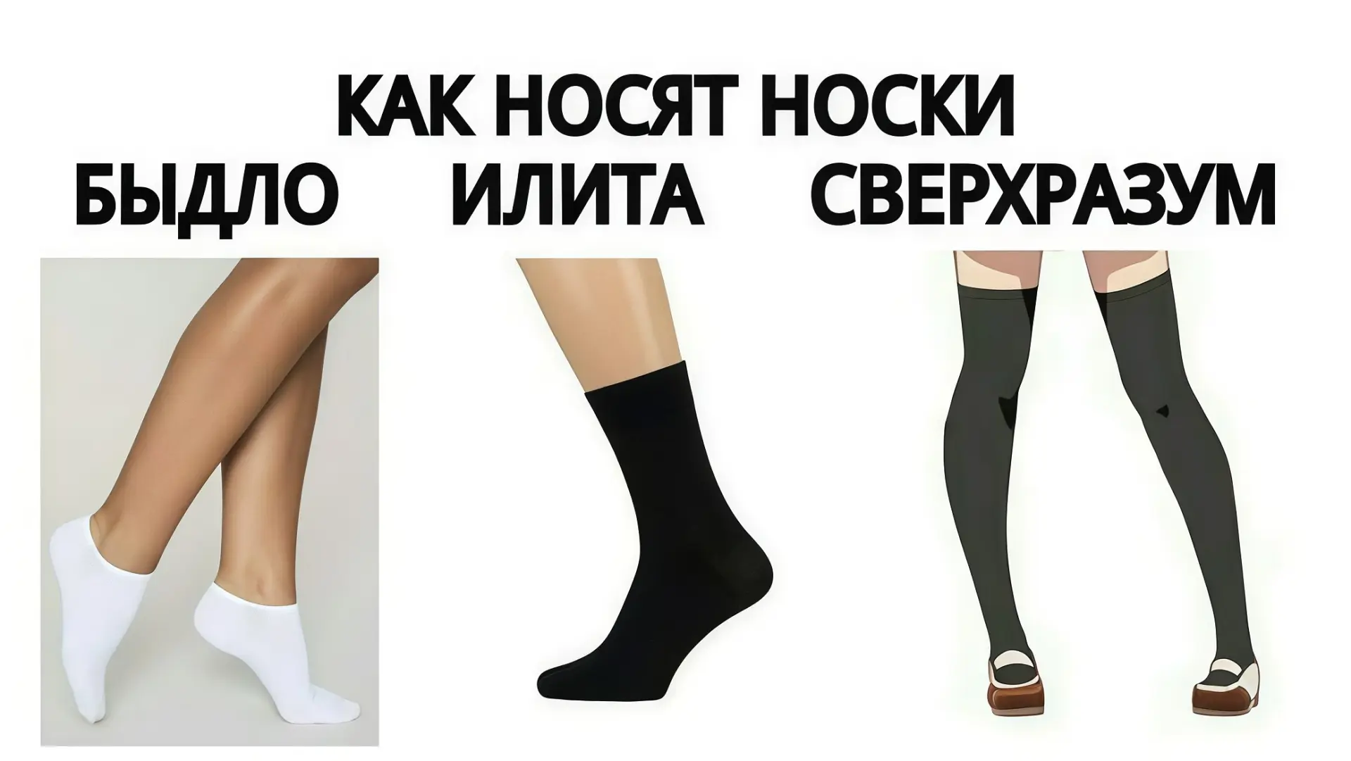 🔘 наши проекты