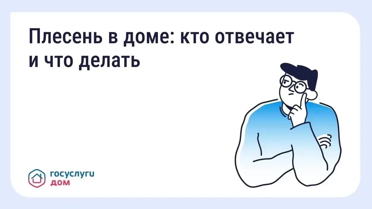 Что делать, если в квартире появилась плесень