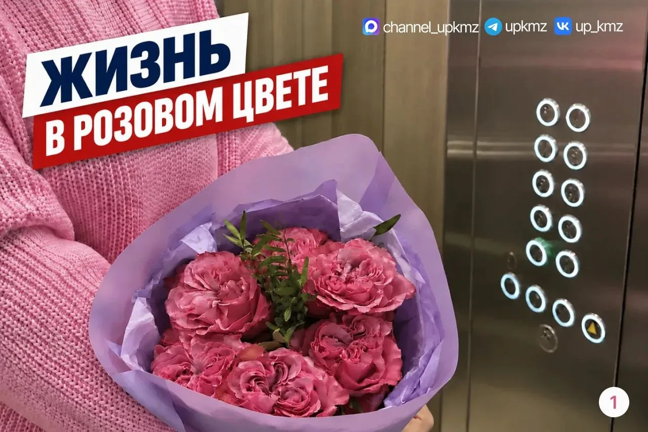 Выбираем, кому идет больше?
