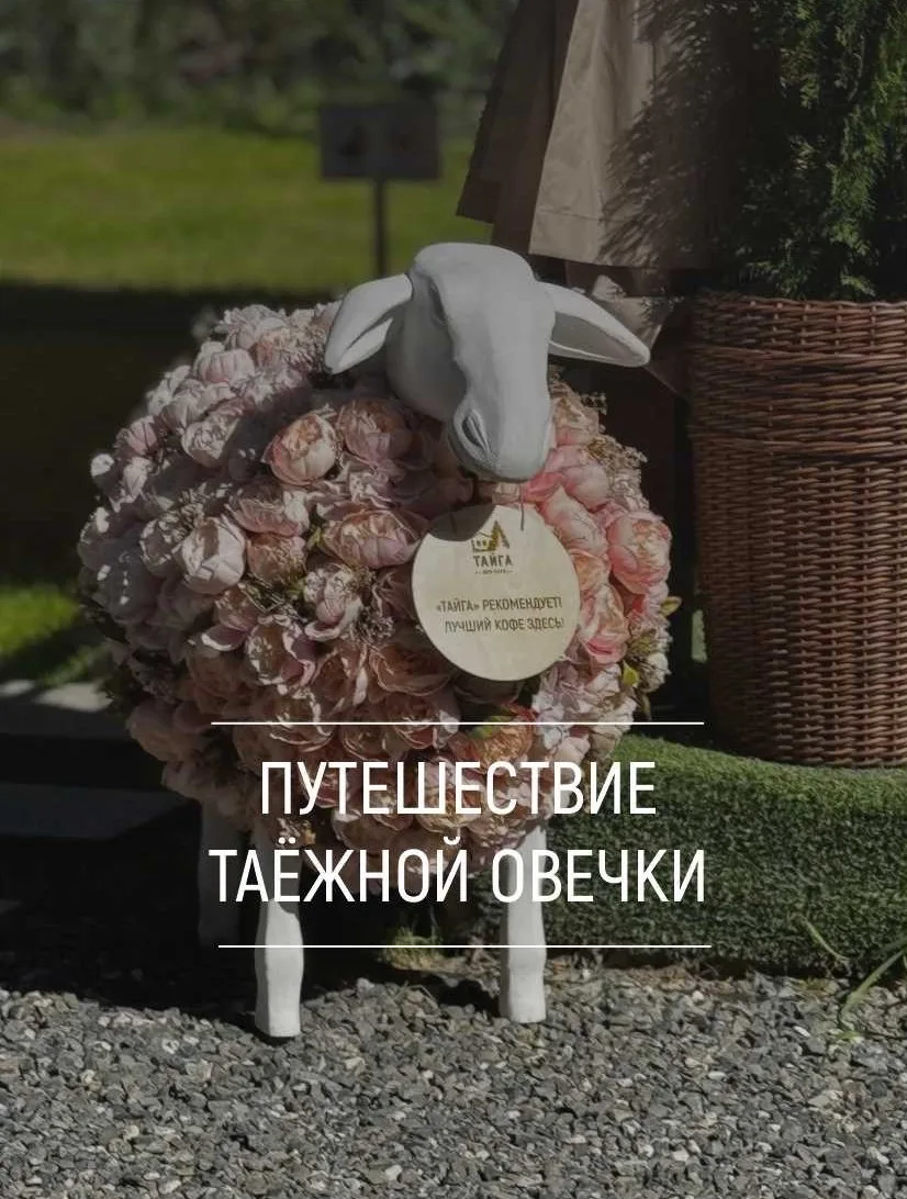 Дорогие друзья! 💚

Наша таёжная путешественница вернулась домой! 
Москва, Париж, Мальдивы — всё поз