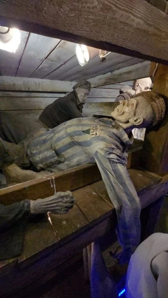 🚂 Путешествие во времени: ученики 6 «В» класса посетили «Поезд Победы»!
Ребята окунулись в историю 