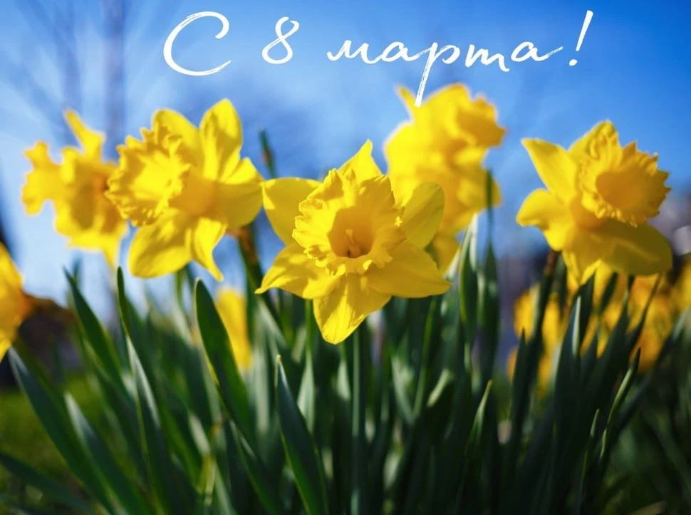 🌹Дорогие женщины!🌹