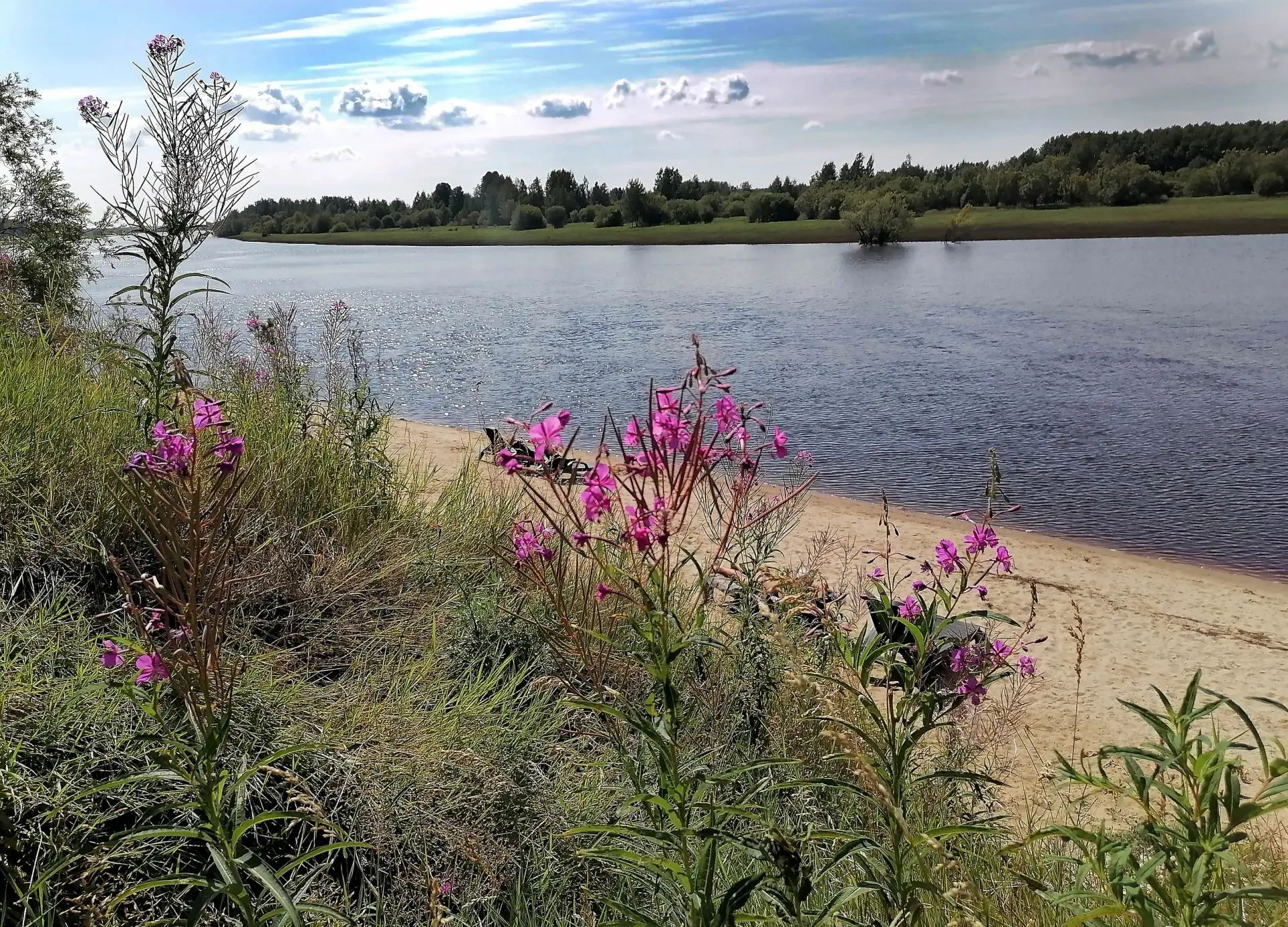 СТРЕЖЕВСКИЕ ЗАРИСОВКИ 📸👍 
Фото В.ЕГОРОВОЙ.