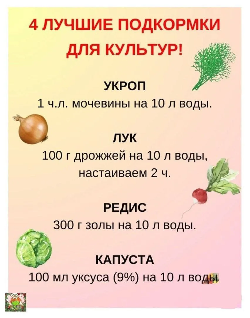 На заметку✅

🏡 Уютная дача