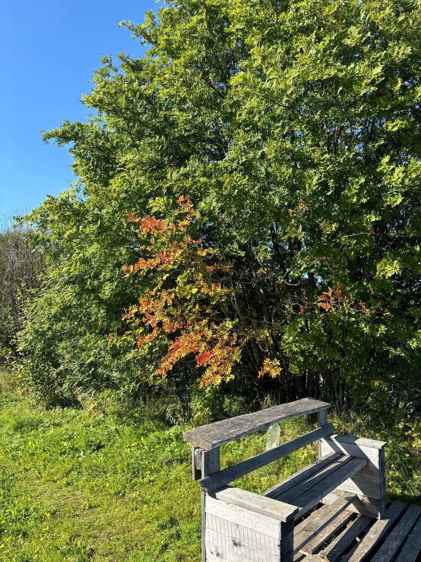 Осень глазами наших подписчиков ❤️🍂
