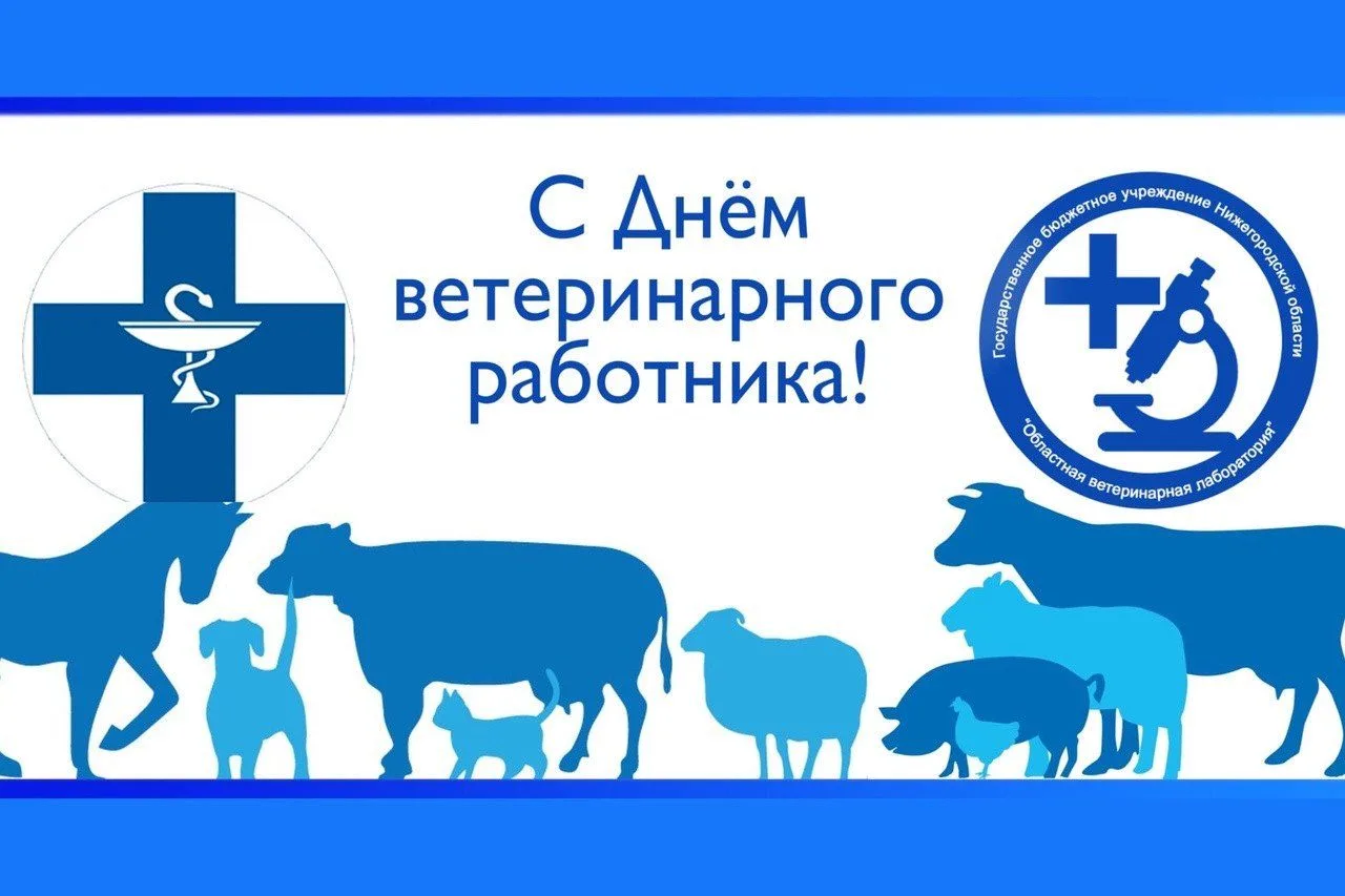 Поздравление Руководителя Управления Россельхознадзора по Орловской и Курской областям ...