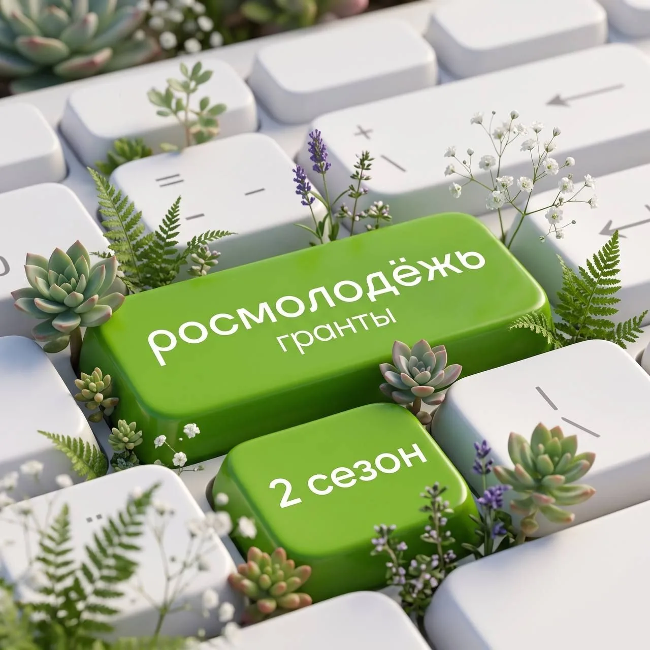 У твоей идеи появился снова шанс 🔥