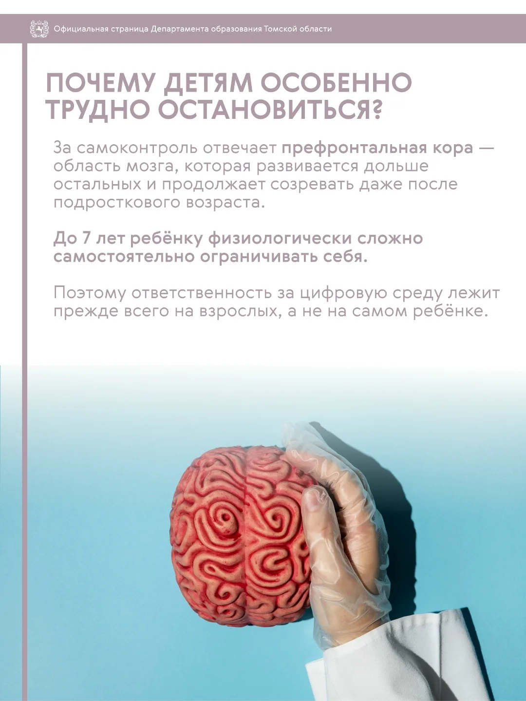 Почему маленькие дети готовы смотреть в телефон часами, а отложить его бывает так сложно?

📱 Дело н