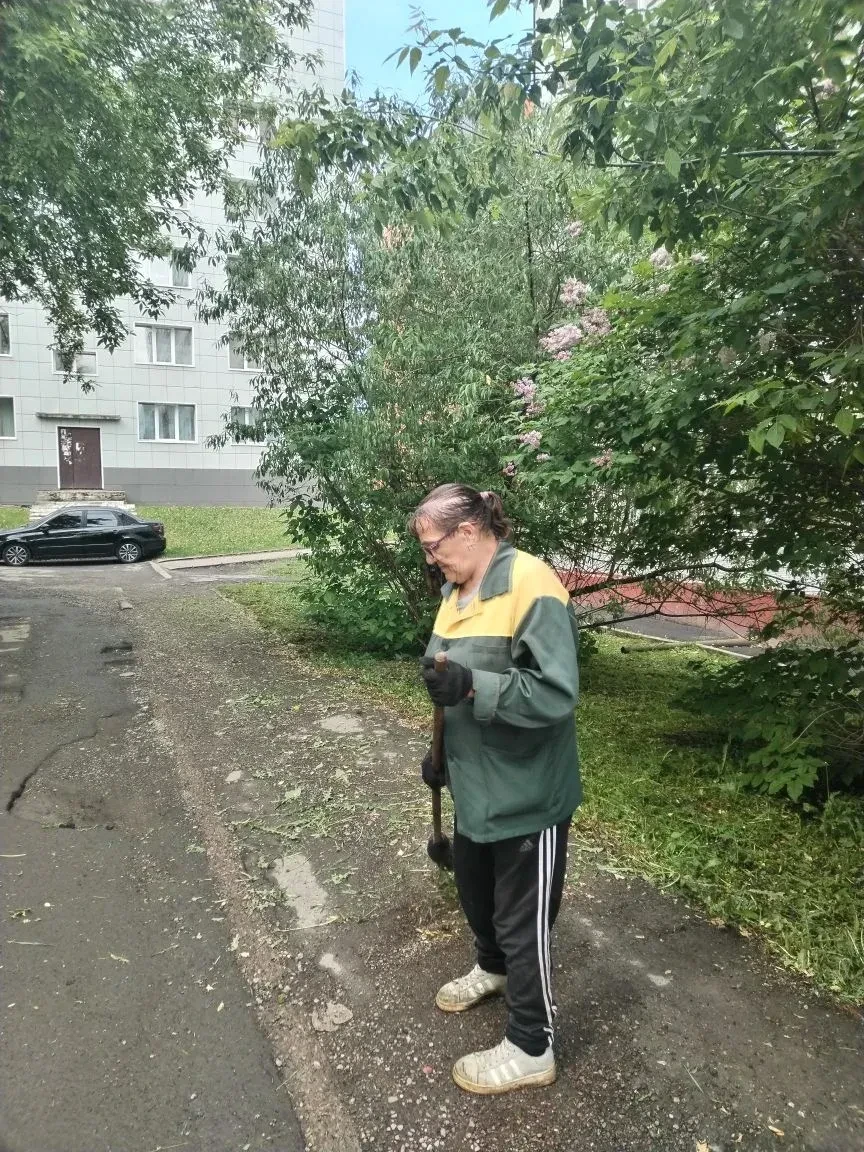 Покос территории дома бр. Строителей 50/2.