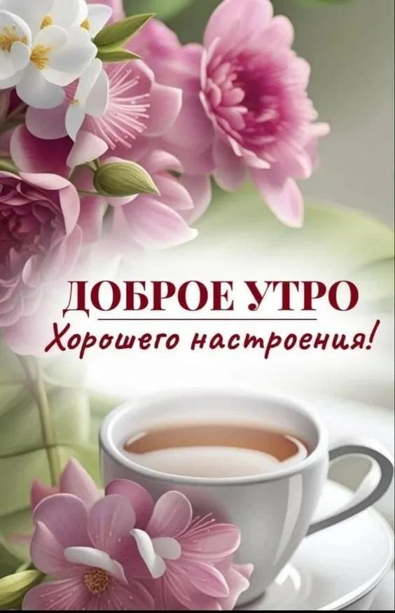 Рай открыток | Открытки 🥰