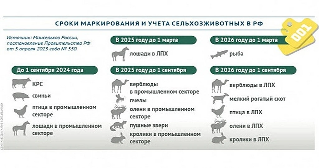 ВЕТЕРИНАРИЯ ГОРОДА БРЯНКИ