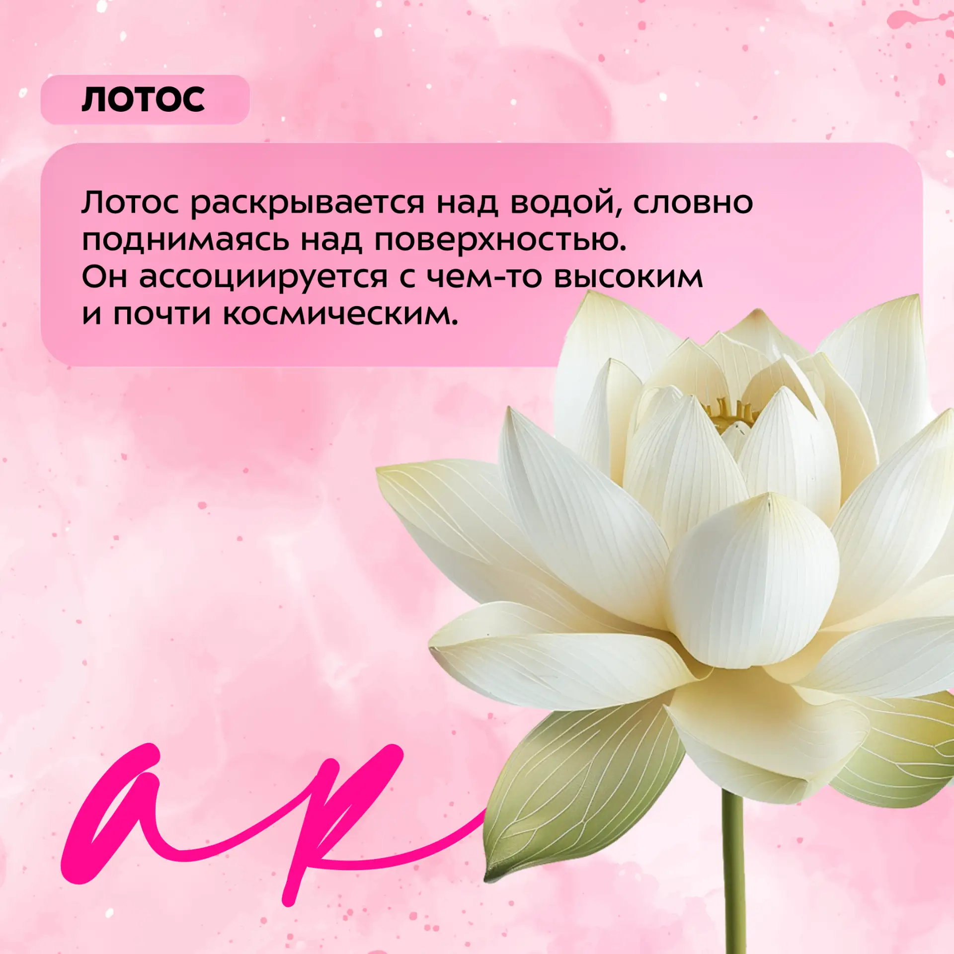 🌷 Если посмотреть на Бауманку внимательнее, становится понятно: здесь расцветает целый...