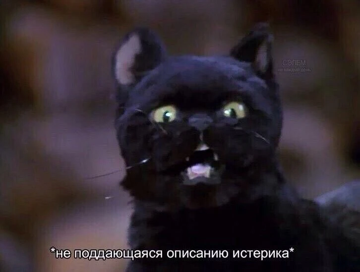 #мыслиавтора